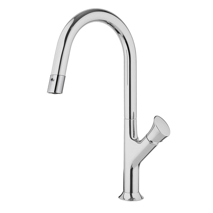 Fortis Single Control Pull-Down Kitchen Faucet 6459100PC