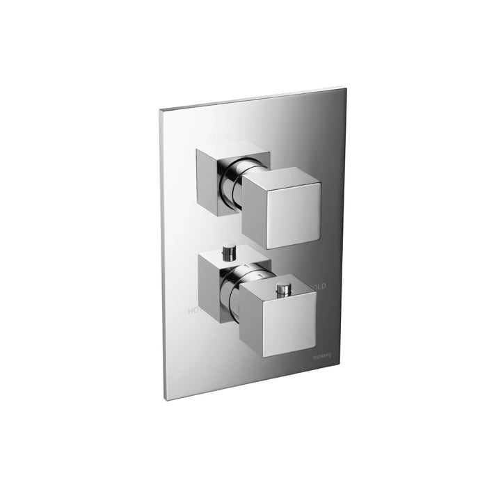 Isenberg 3/4″ Thermostatic Valve With 2-Way Diverter & Trim 2-Output 160.4420