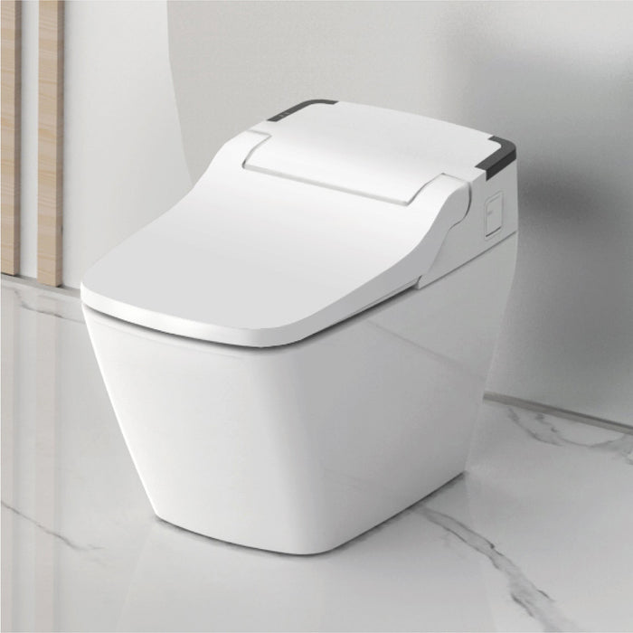 VOVO Integrated Smart Bidet Toilet TCB-090SA